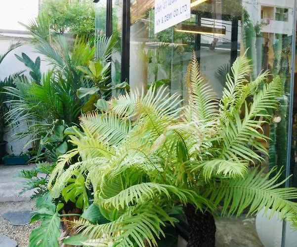 Yolo Boutique Bangkok